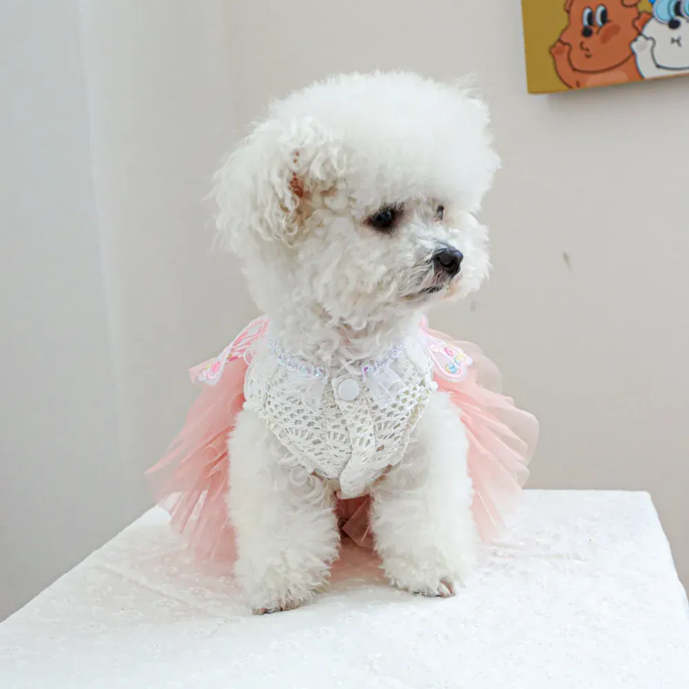 breathable pet dress