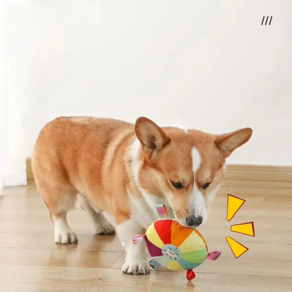Pet frisbee toy bulk