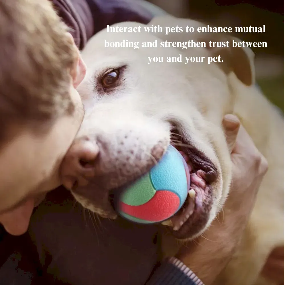 pet play ball