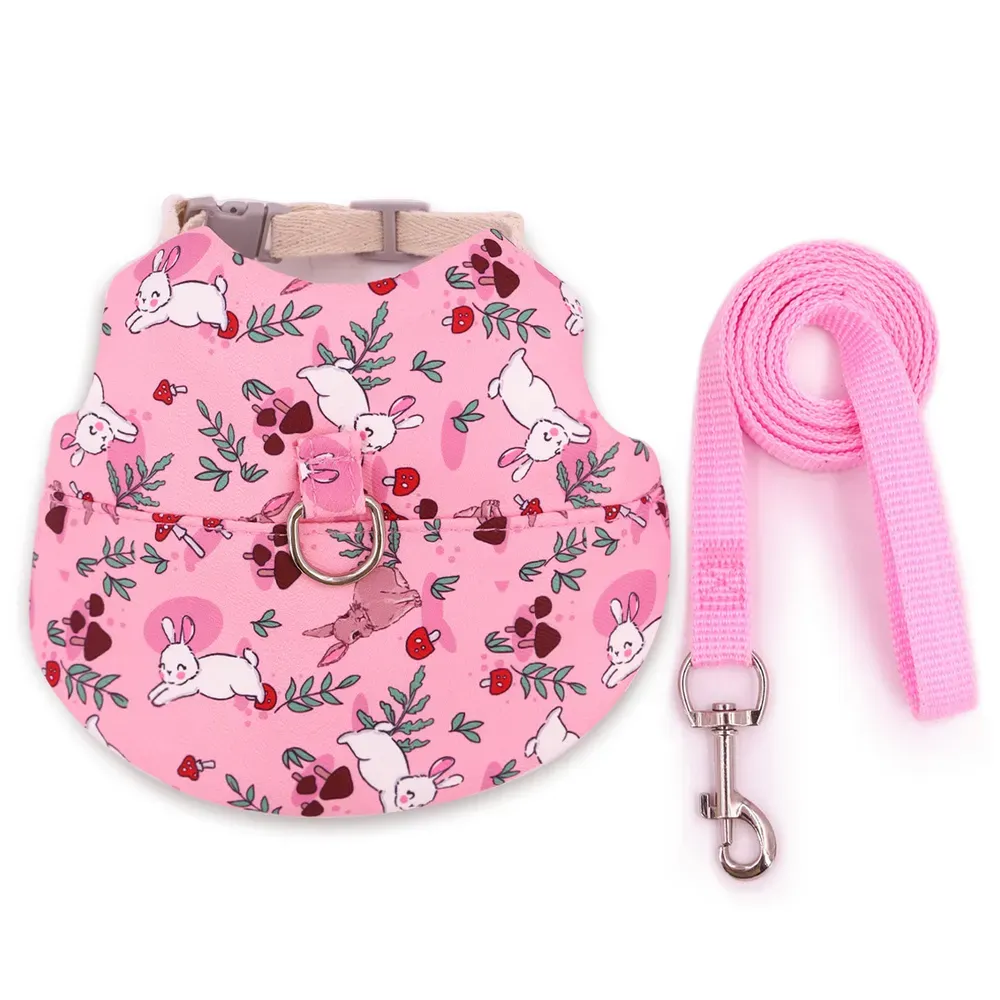 A cute and functional harness and leash set for small pets, designed in a charming country style. Perfect for safe outdoor walks and adventures with your bunny or small pet.