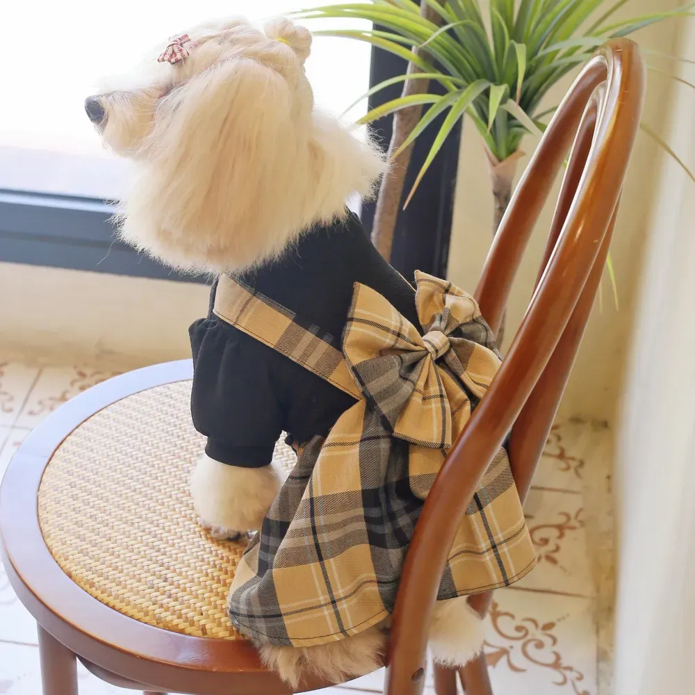 College Style Pet Dress with Large Bowknot