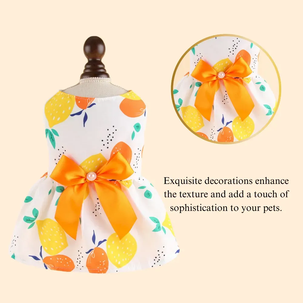 pet clothing for hot weather