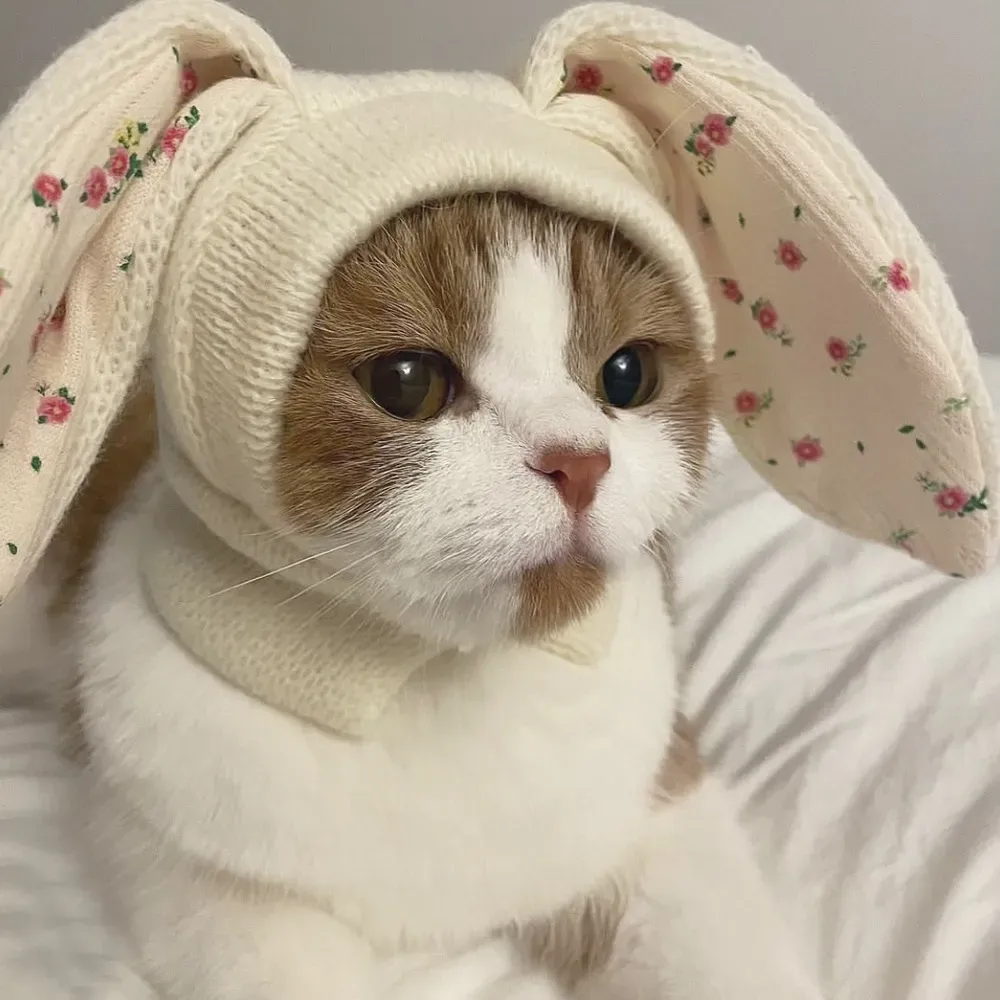 A cute and cozy knitted pet hat with bunny ears, designed to keep pets warm and stylish in fall and winter, with a soft cotton floral lining.