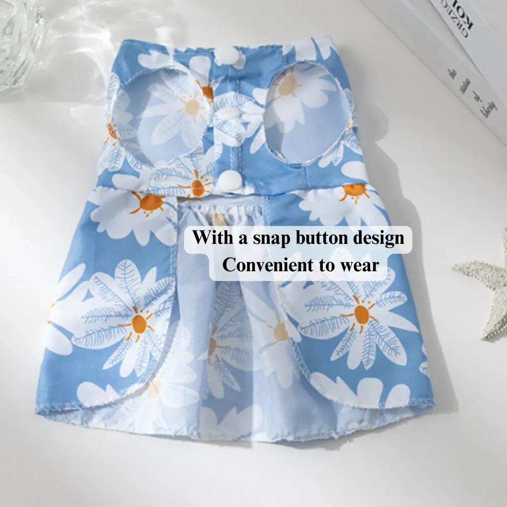 dog clothes for spring summer