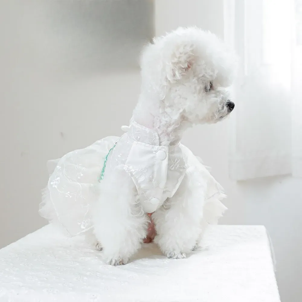 A stylish mint green puffy tulle dress with a pearl necklace design, perfect for special events like weddings and photoshoots, featuring snap closures for easy dressing.