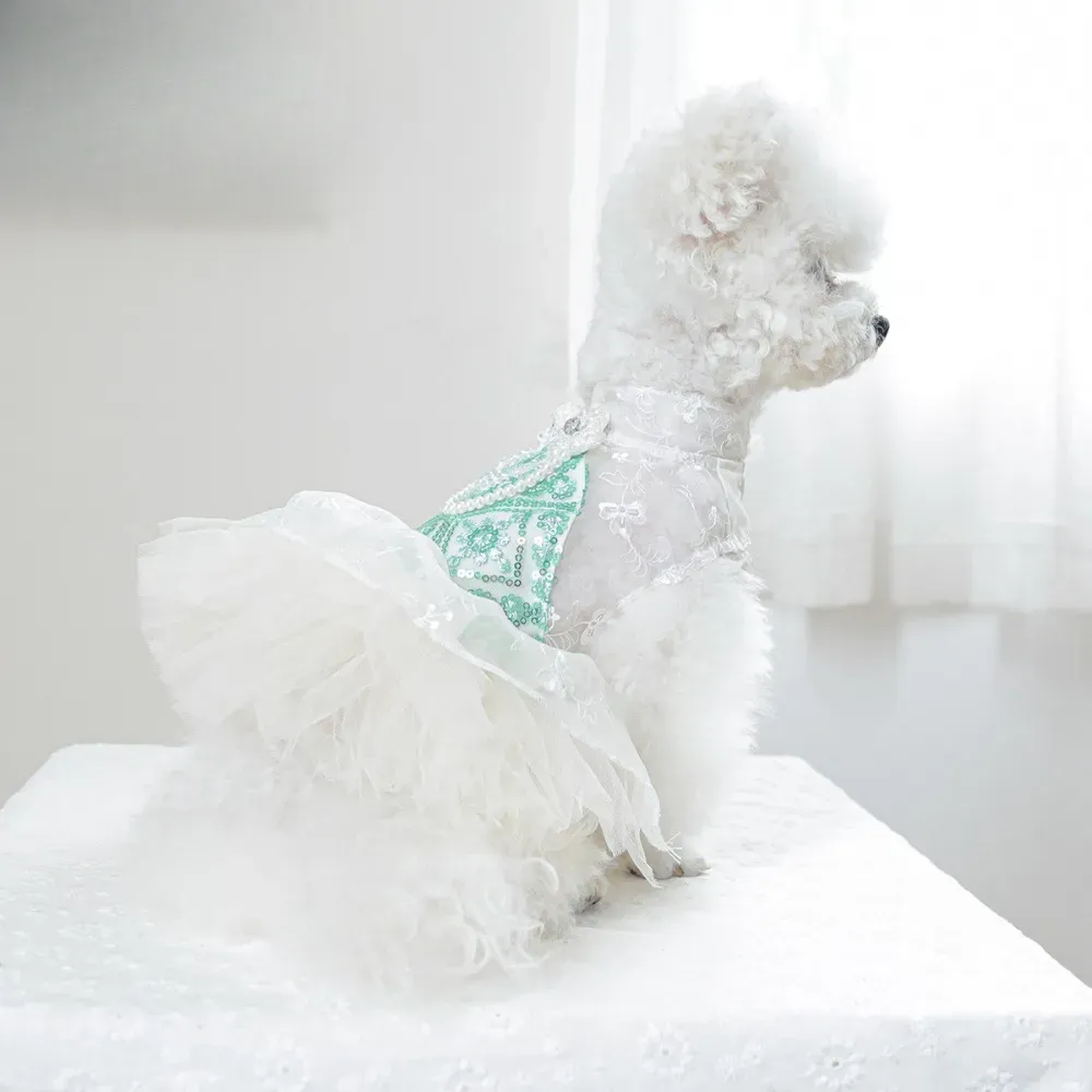 Ideal for photoshoots, weddings, or any elegant gathering, this mint green tulle dress combines comfort, style, and practicality, making pets look their best.