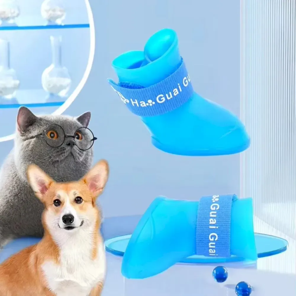 dogs rain boots