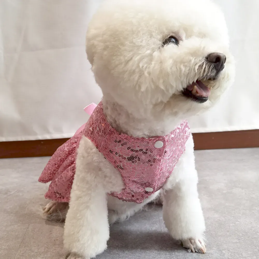 small dog wedding dress