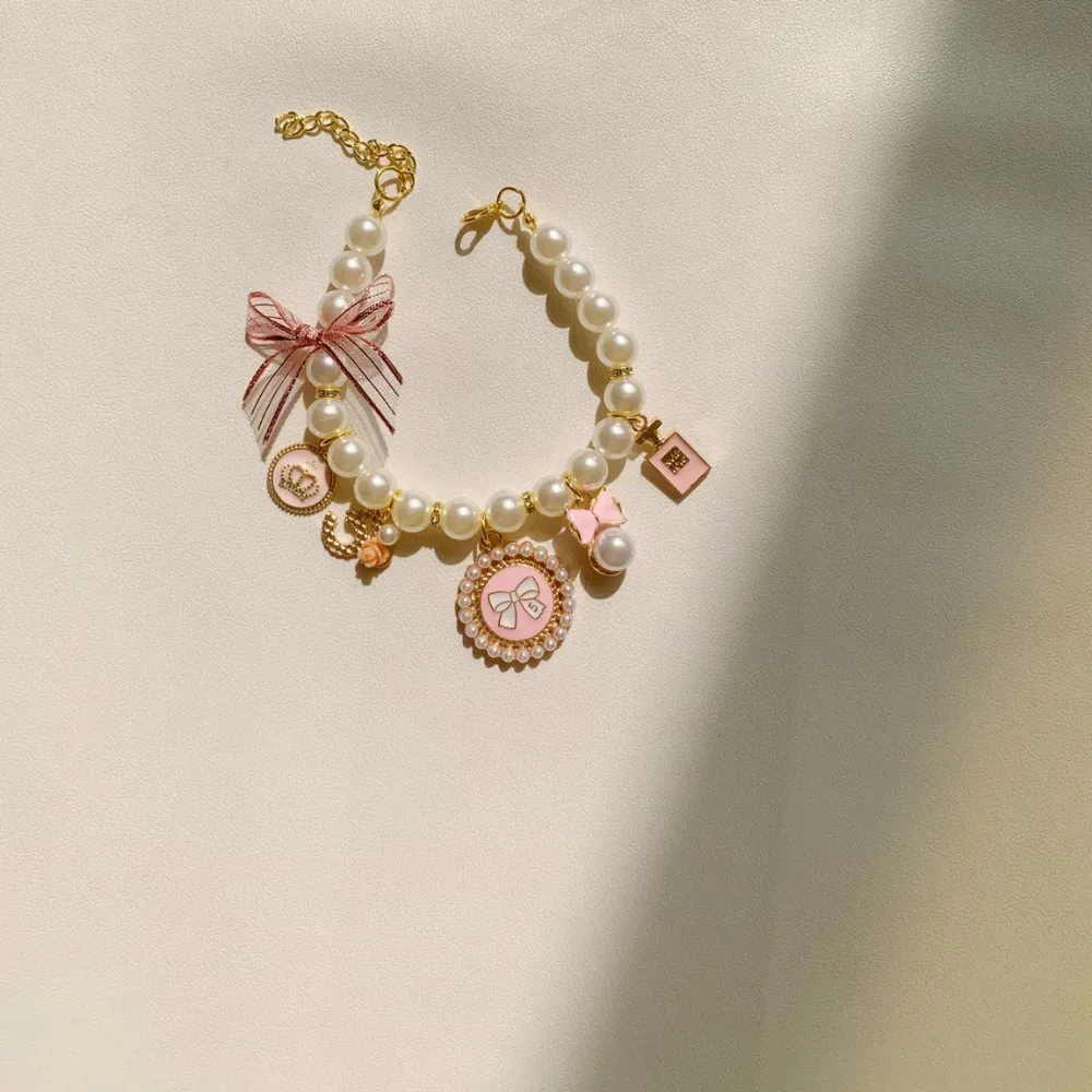fashionable pet accessory