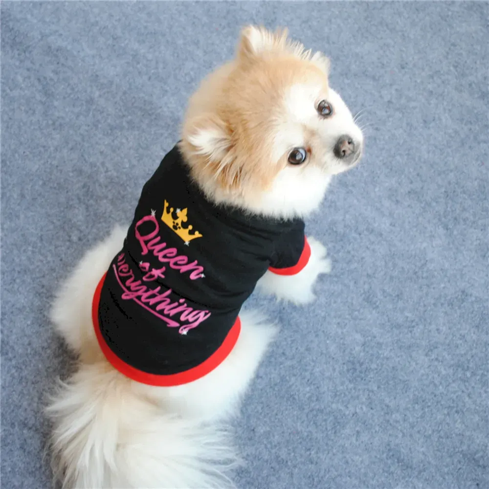 royal dog T-shirt