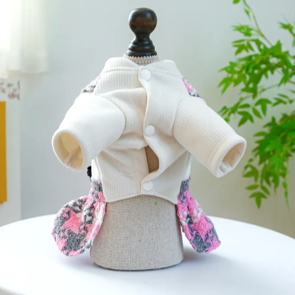 small dog fashion