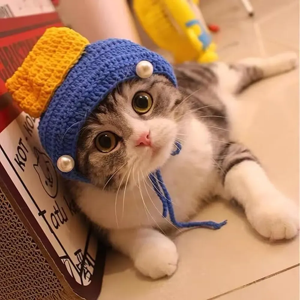 Retailers can stock this fun, cosplay pet headpiece with its braided hat and pearl earrings, perfect for customers looking for unique accessories for pets, especially for special events or photoshoots.