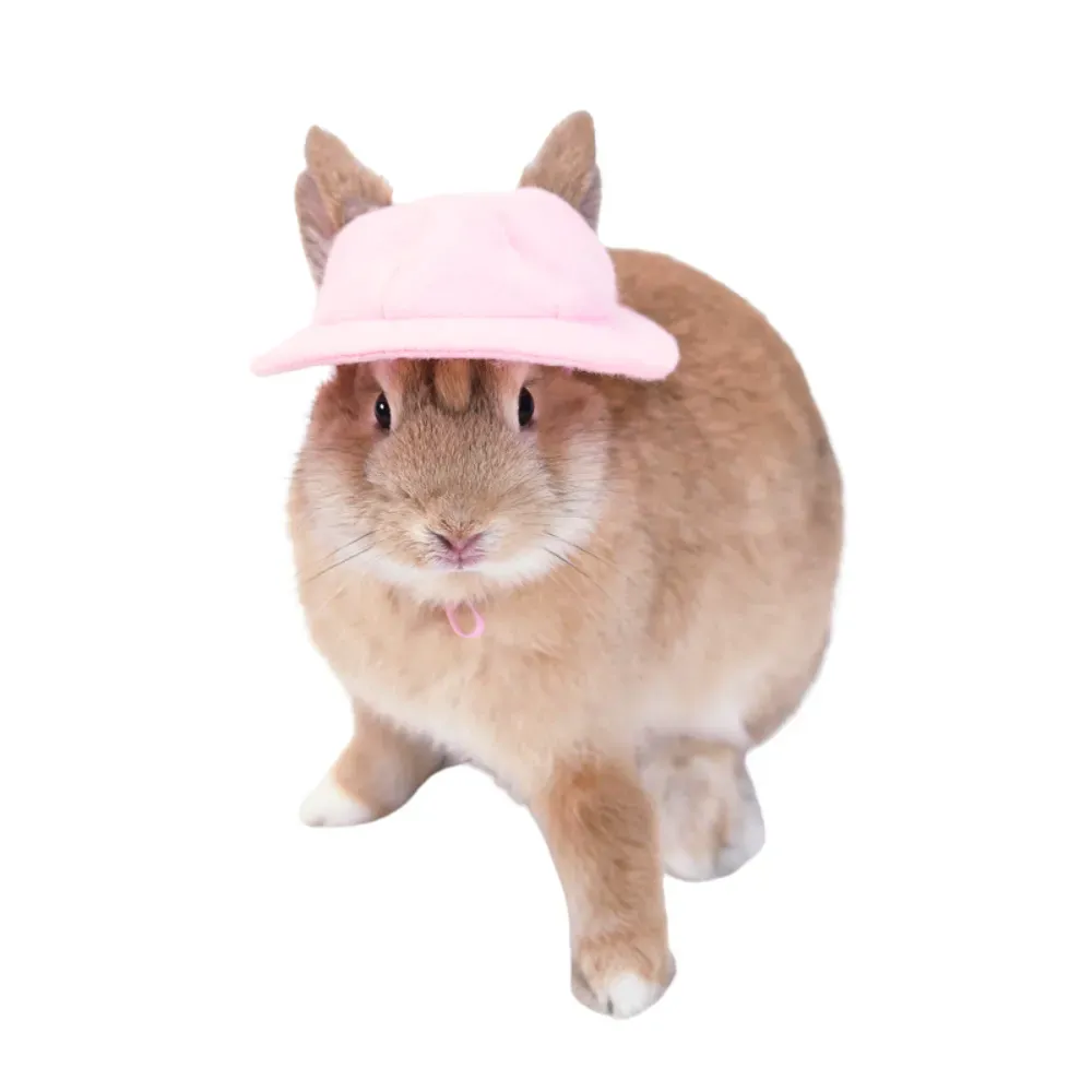 Felt fabric gnome rabbit hat, ideal for pets looking to dress up for Halloween or special occasions.