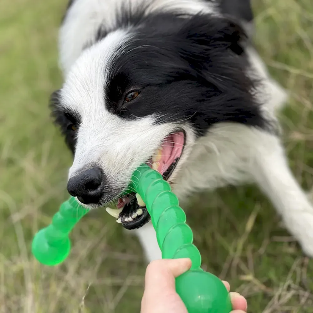large breed chew toy