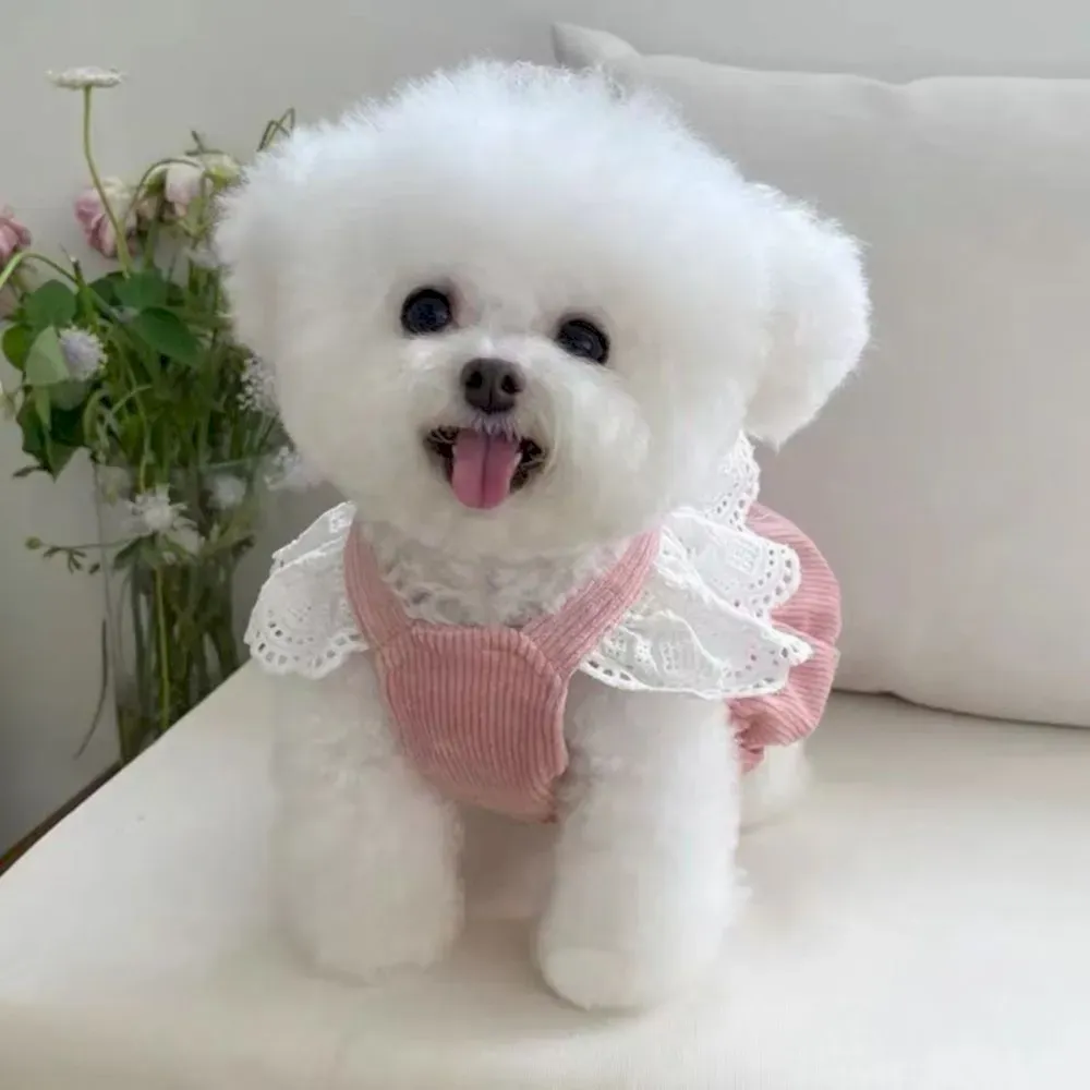 Dog Striped Dress