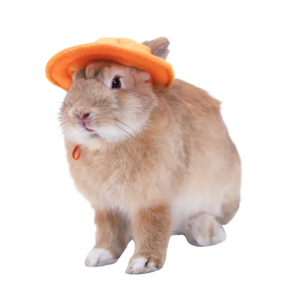 Sun hat for pets with a cute gnome rabbit design, ideal for adding charm to your pet’s outfit.