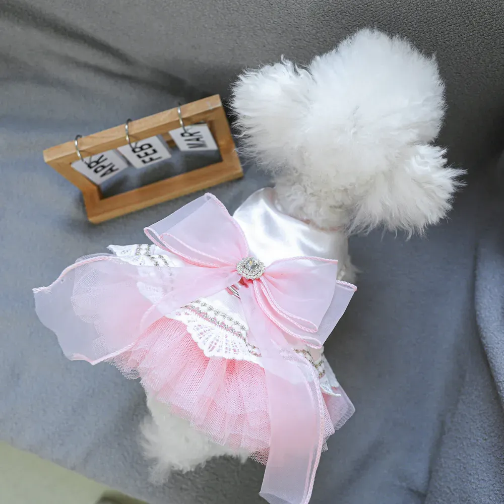summer dog dress fashionable pet clothing