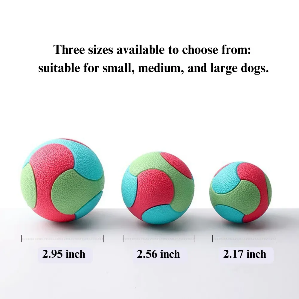pet exercise ball
