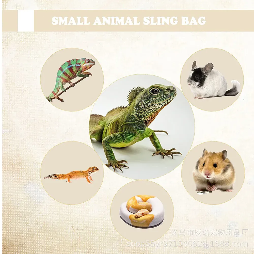 Travel Pet Backpack