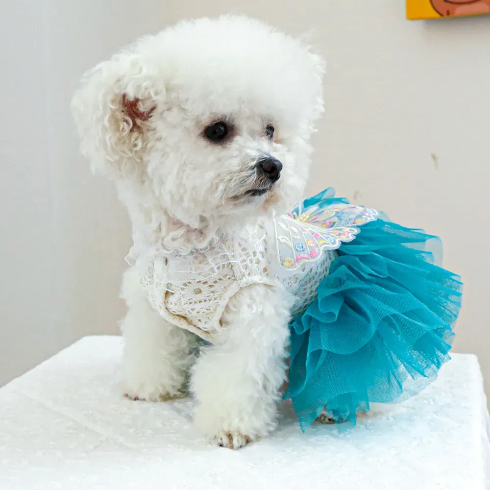 charming dog dress