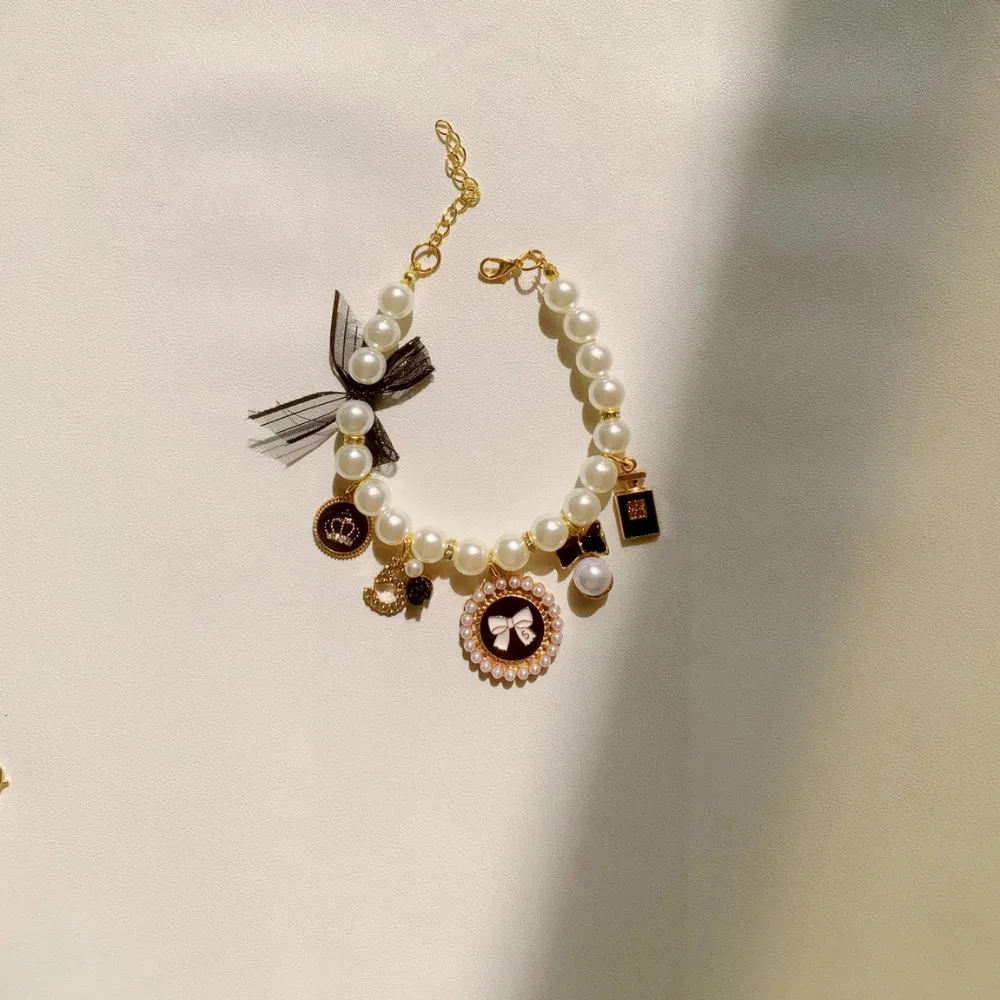 cat collar with bell