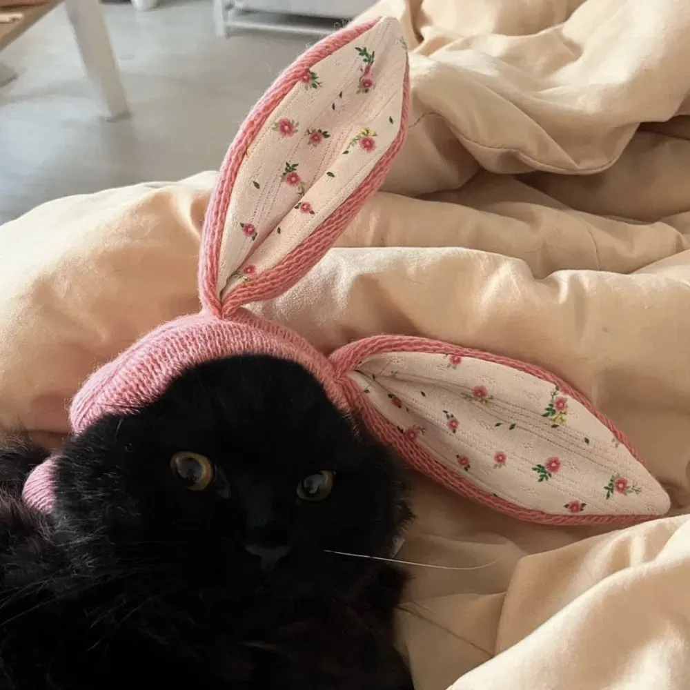 Great for Fall and Winter: The knitted fabric is perfect for colder temperatures, keeping your pet cozy while adding a stylish flair to their look.