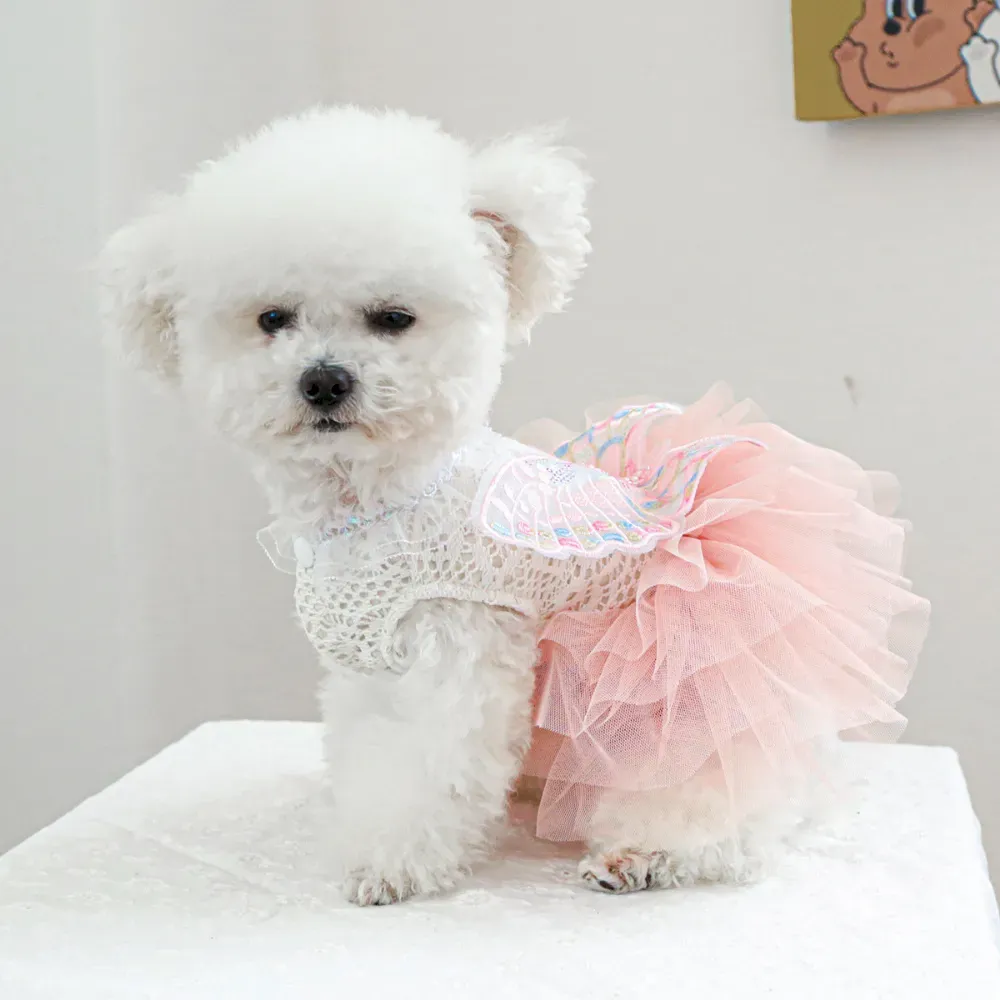 playful pet outfits