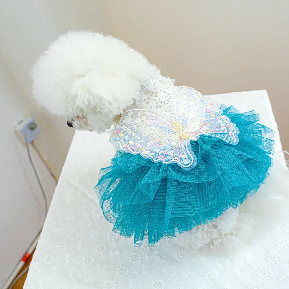 pet clothing for parties
