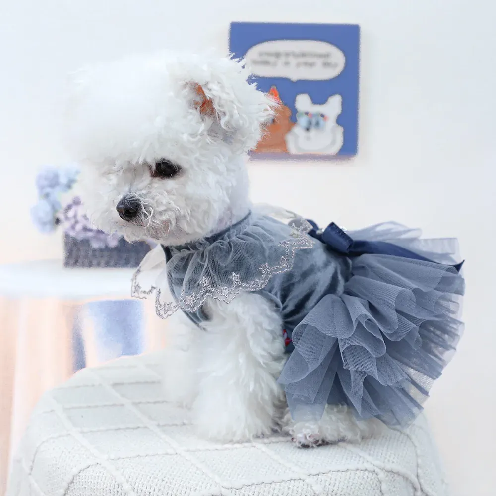 pet wedding dress (4) A high-end, elegant tulle pet dress with a puffy skirt, perfect for weddings or special occasions, featuring a leash D-ring for convenience.