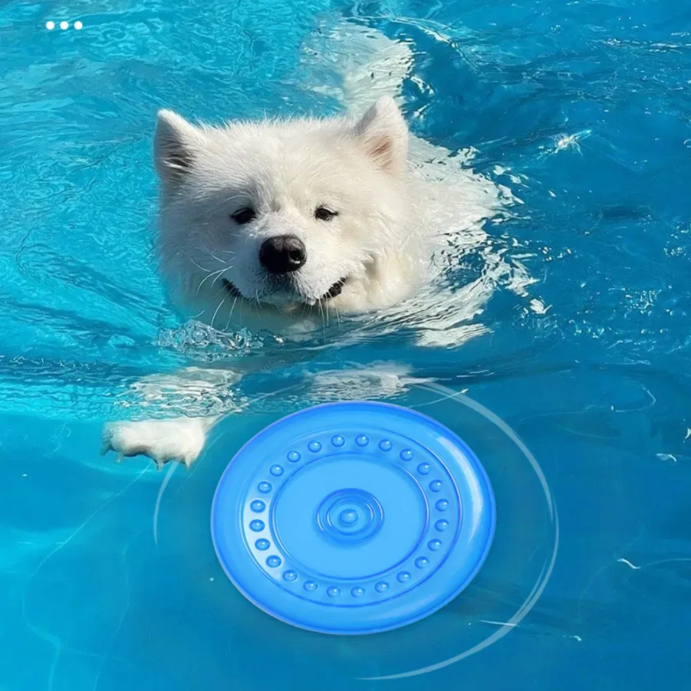 Quality Flying Disc Dog Toy