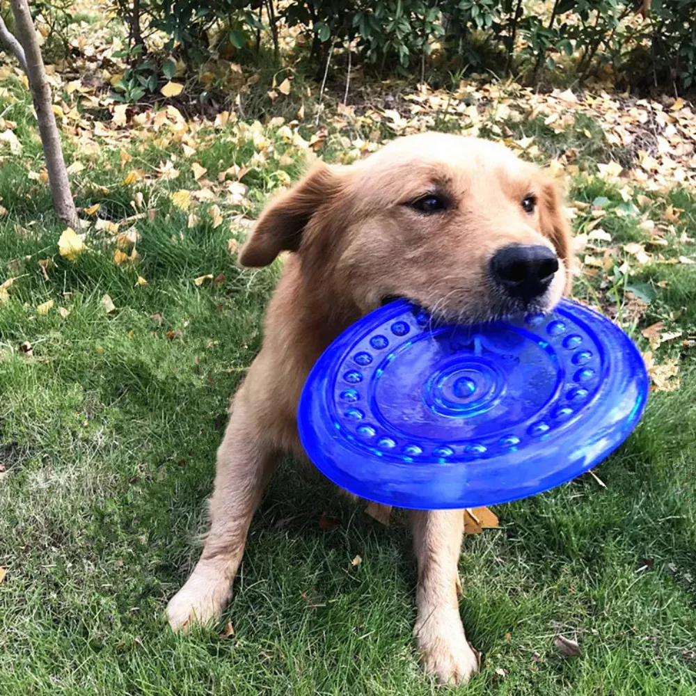 Hot Flying Disc Dog Toy