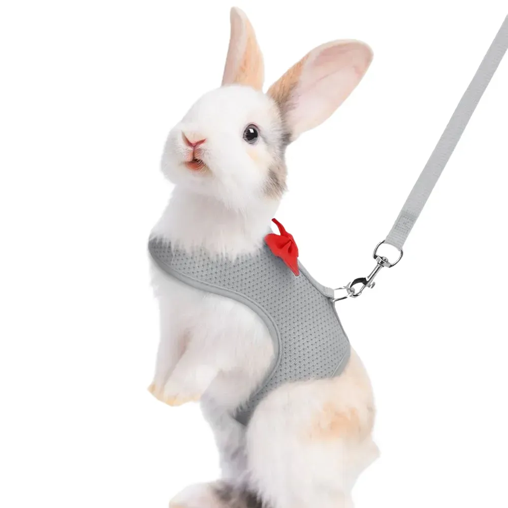 Grey bunnyHarness Leash Set Grey bunnyHarness Leash Set