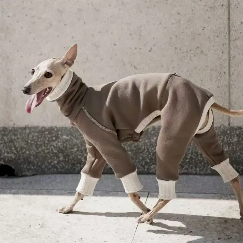 Greyhound Sweatshirt wholesale