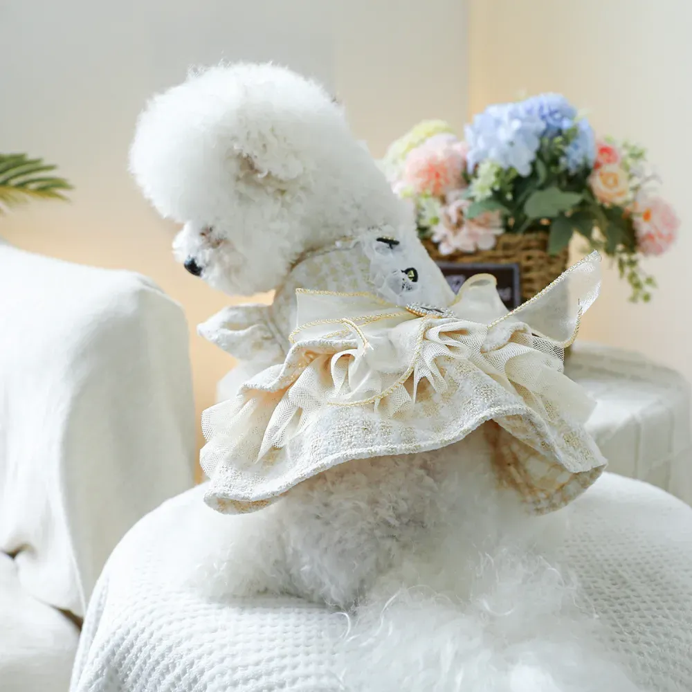 With its soft tulle skirt and elegant details, this pet dress is ideal for pet boutiques looking to offer stylish attire for weddings and holiday celebrations.