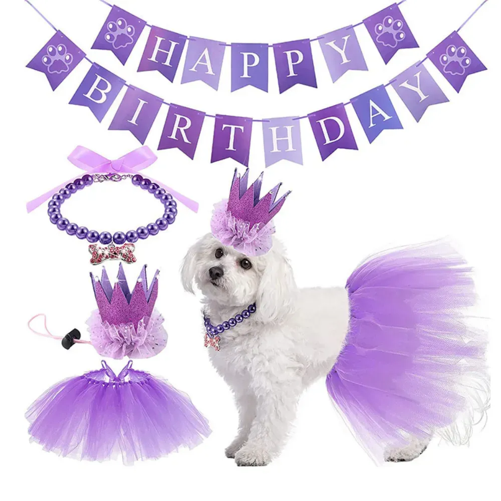 Ideal for retailers seeking to provide a complete birthday costume, this versatile set fits small and medium-sized pets and is perfect for a variety of breeds.