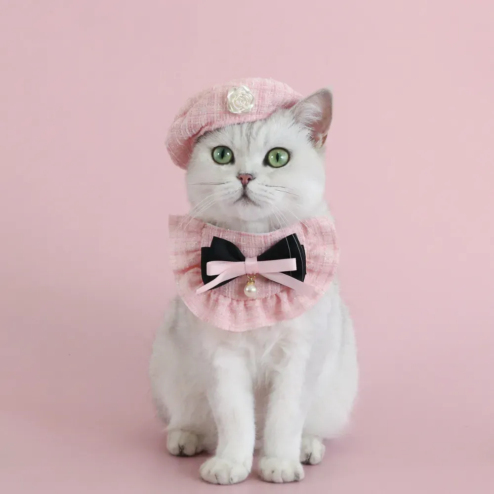 This complete 1-set Christmas pet outfit includes a knitted bib with a pearl bow and a beret hat, designed to keep pets stylish and cozy during the holiday season.