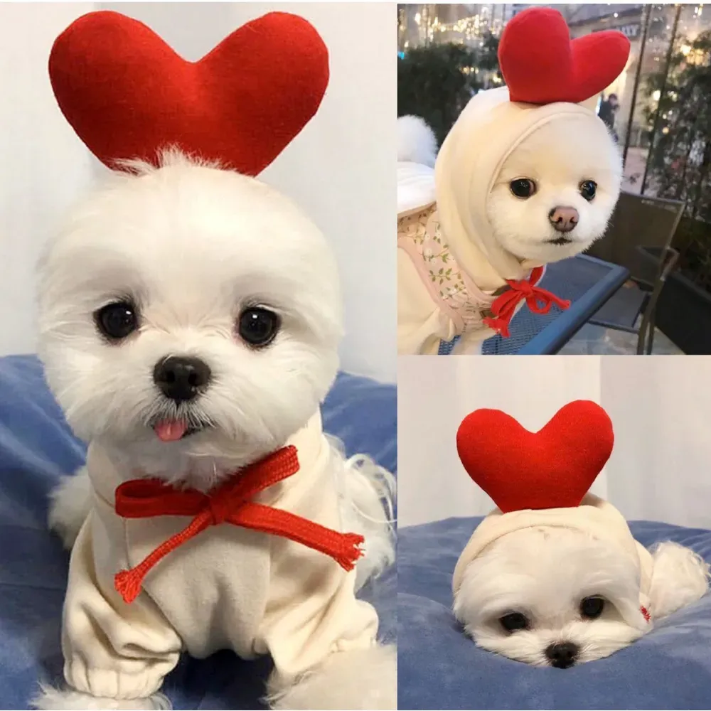 Retailers can offer this adorable Heart-themed pet hoodie to customers looking for stylish and cozy winter apparel for their small pets.