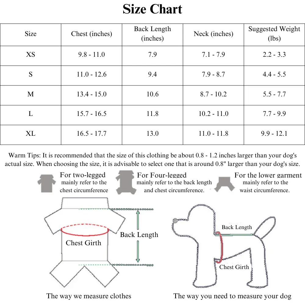 Stylish Dog Coat with Head Flower and Necklace for Small Dogs