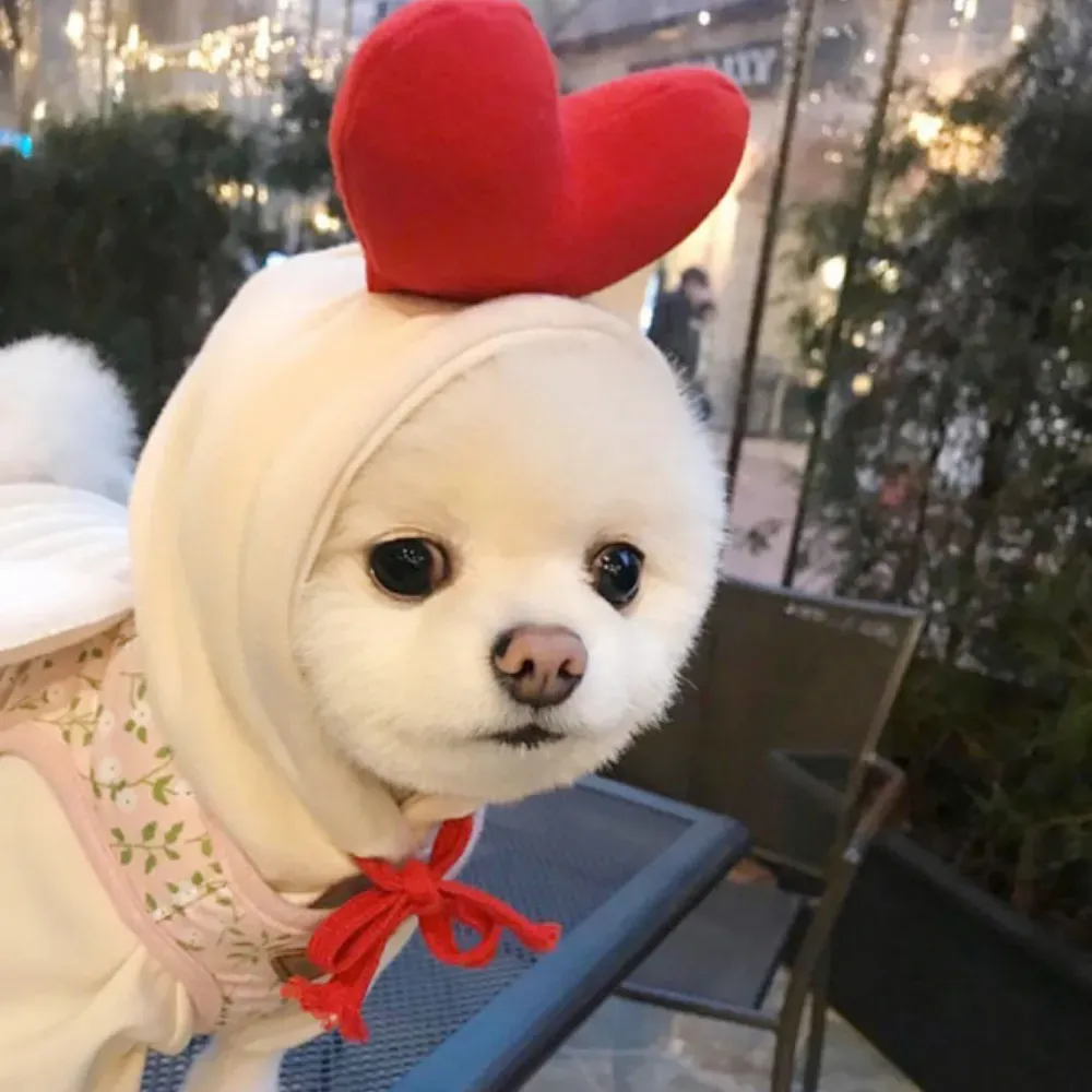 Retailers can offer this adorable Heart-themed pet hoodie to customers looking for stylish and cozy winter apparel for their small pets.