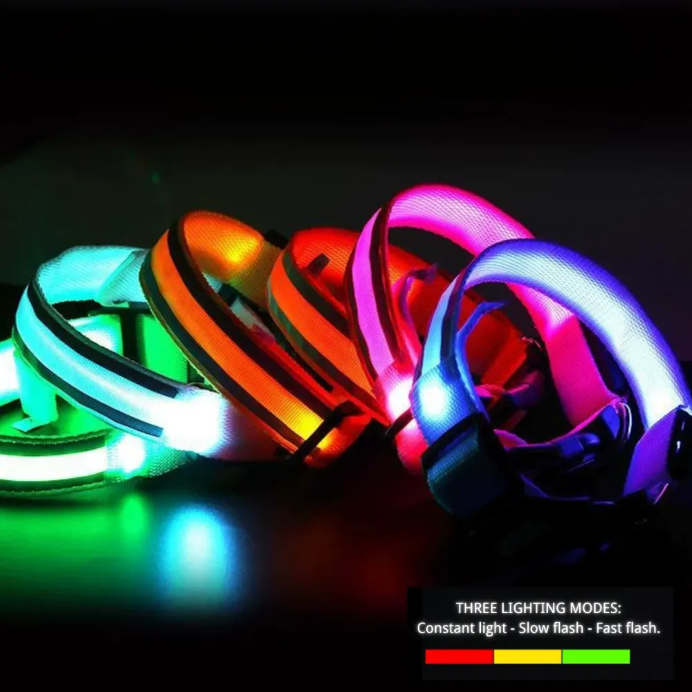 Night Safe USB Rechargeable Reflective LED Dog Collar