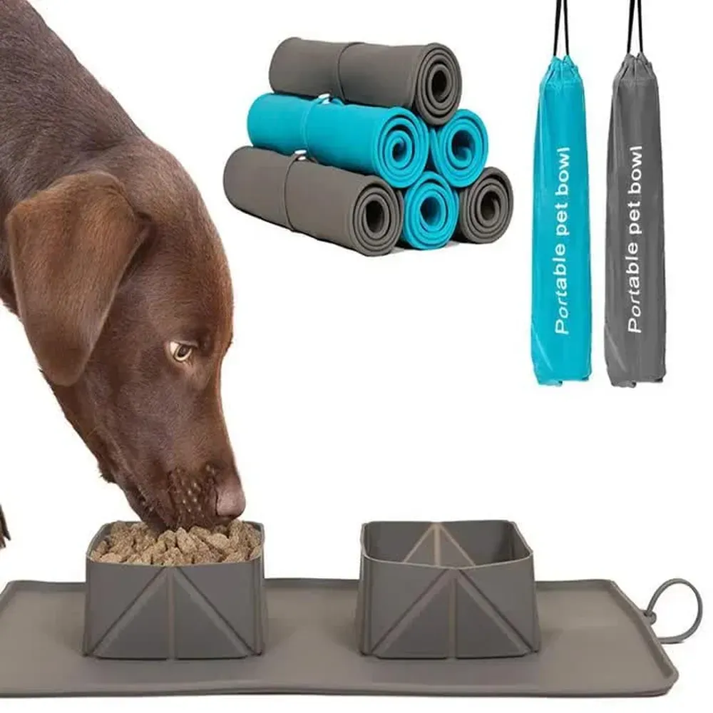 foldable bowl dog_2 Foldable silicone pet bowl set for convenient food and water storage on the go.