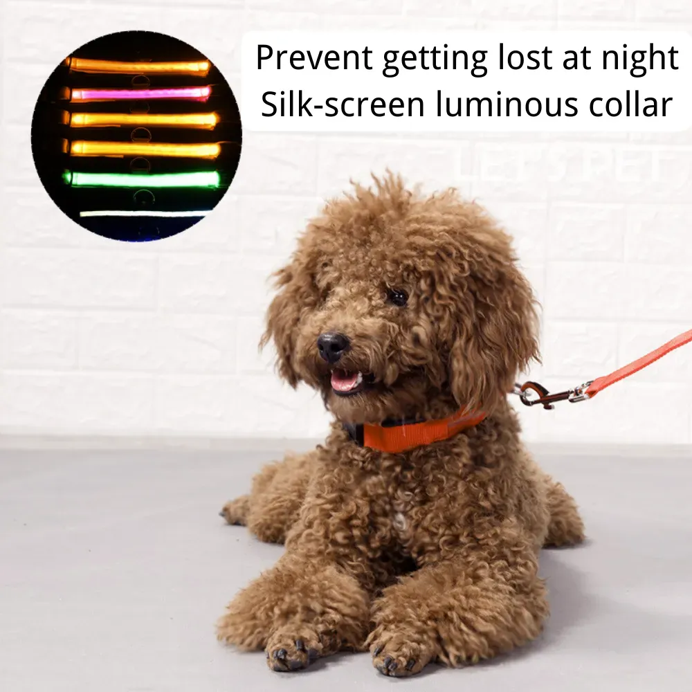 Night Safe USB Rechargeable Reflective LED Dog Collar