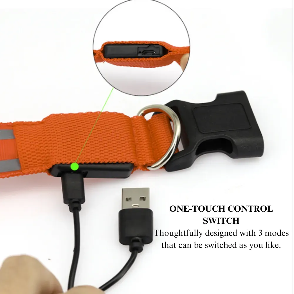 Night Safe USB Rechargeable Reflective LED Dog Collar
