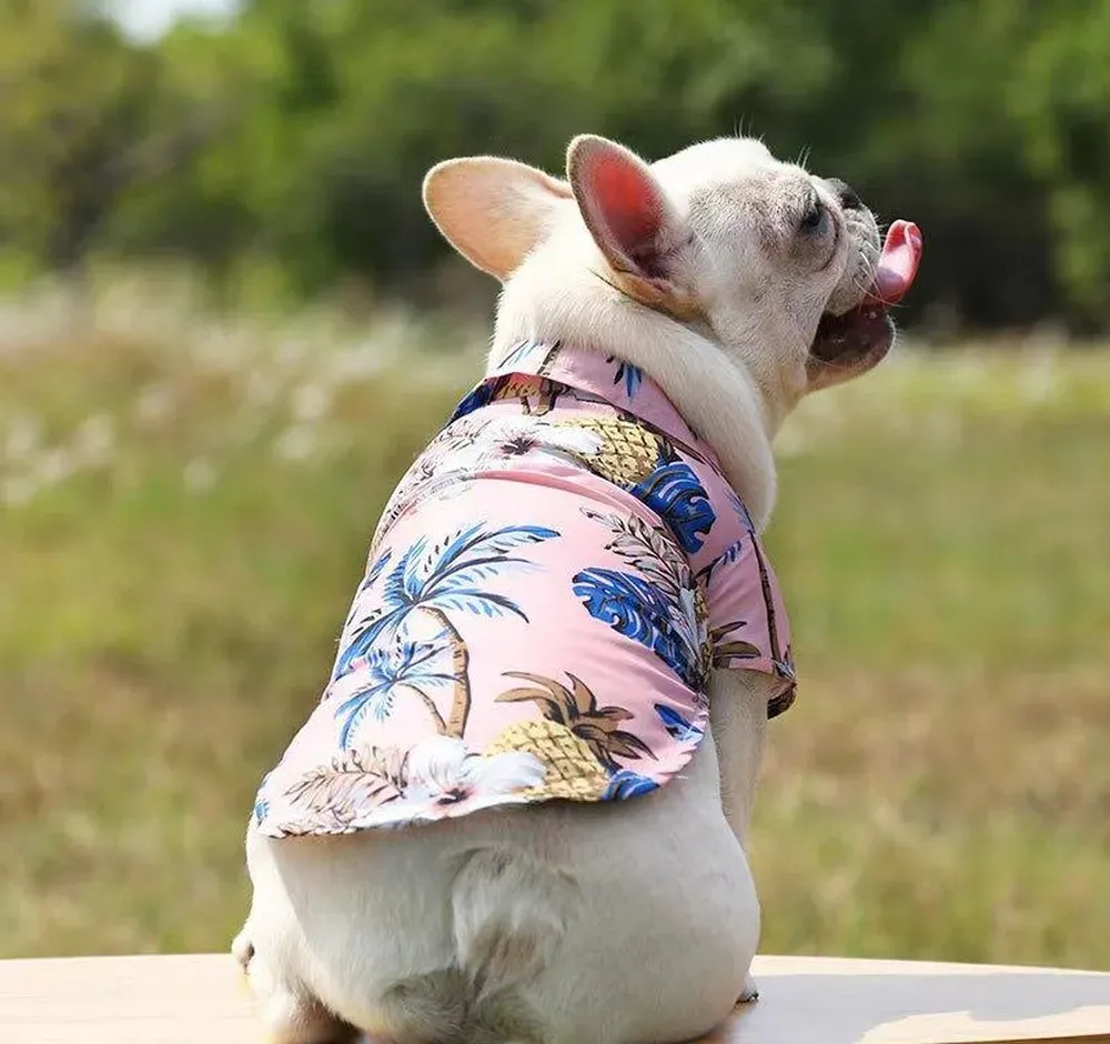 dog beach shirt bulk buy