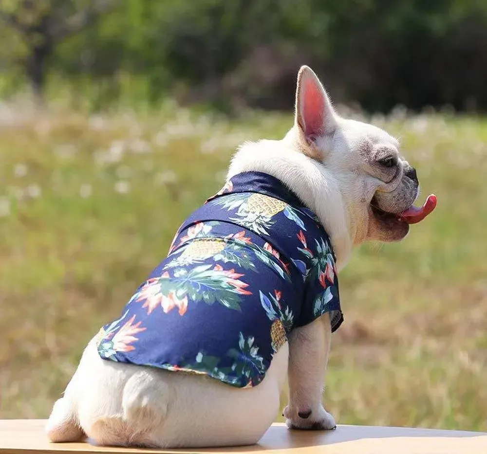 dog beach shirt wholesale
