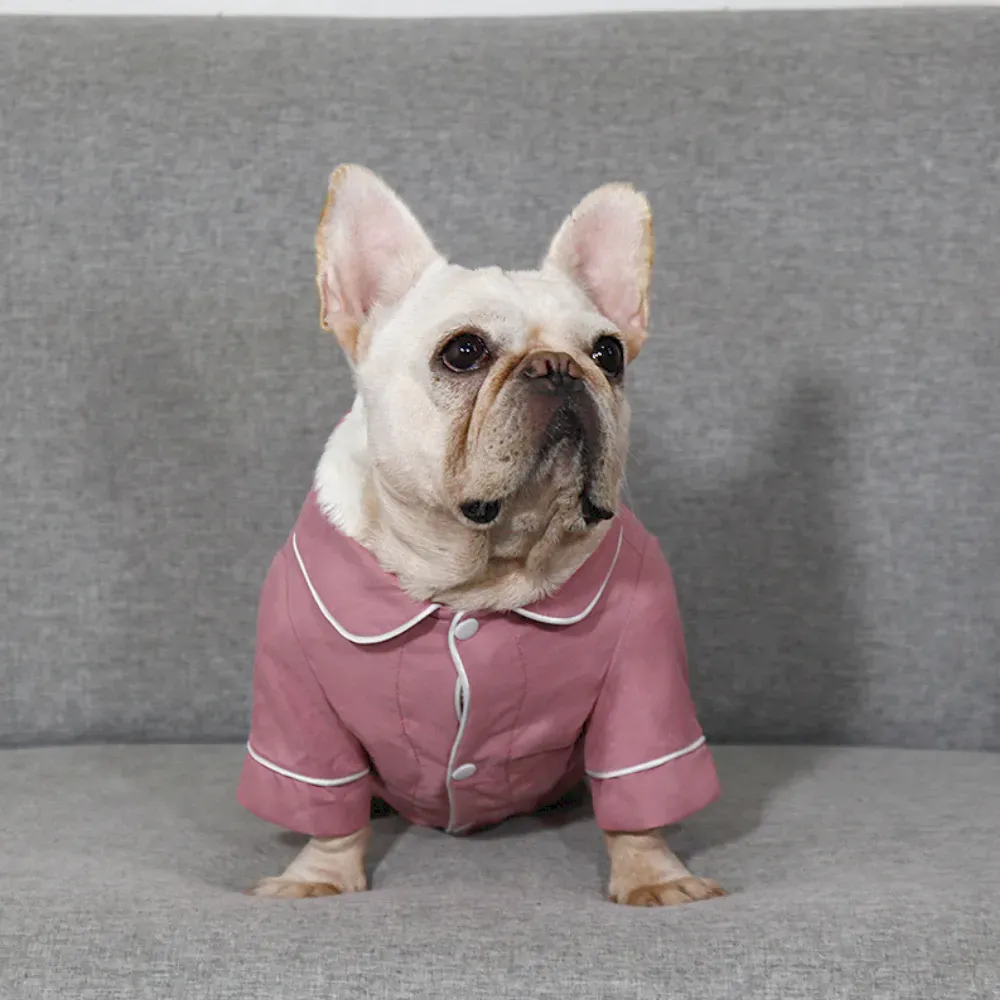 Comfortable Dog Outfit