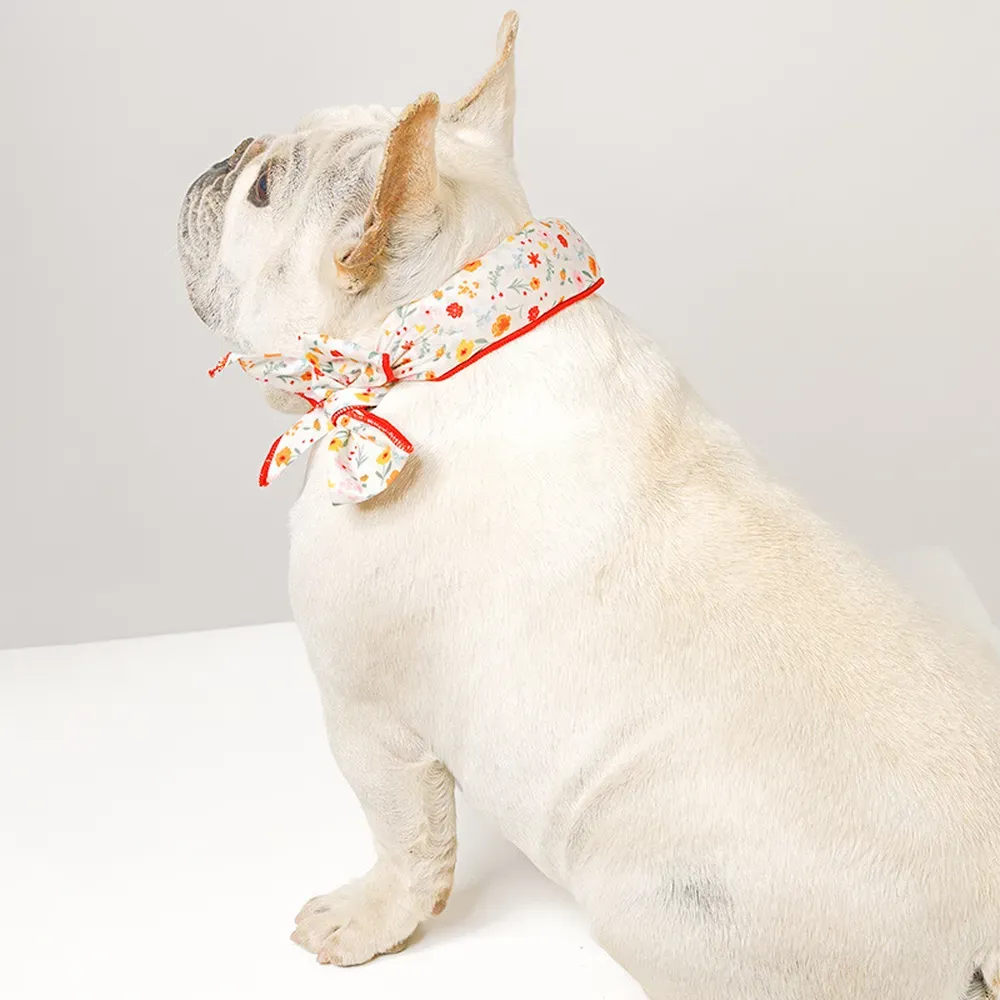 Eco-friendly and reusable, this cooling scarf is a sustainable solution for summer pet care.