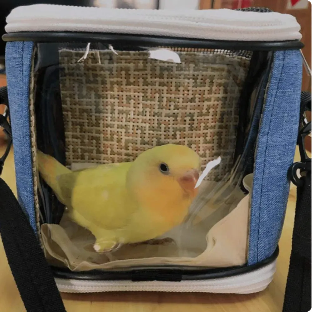 Breathable Small Carrier Bag for Birds and Small Animals