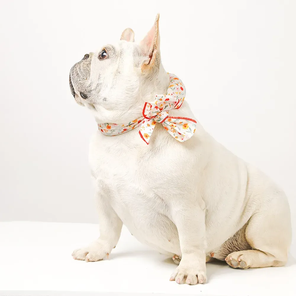 Ideal for preventing overheating and heatstroke, this cooling bandana keeps pets comfortable and safe in the heat.