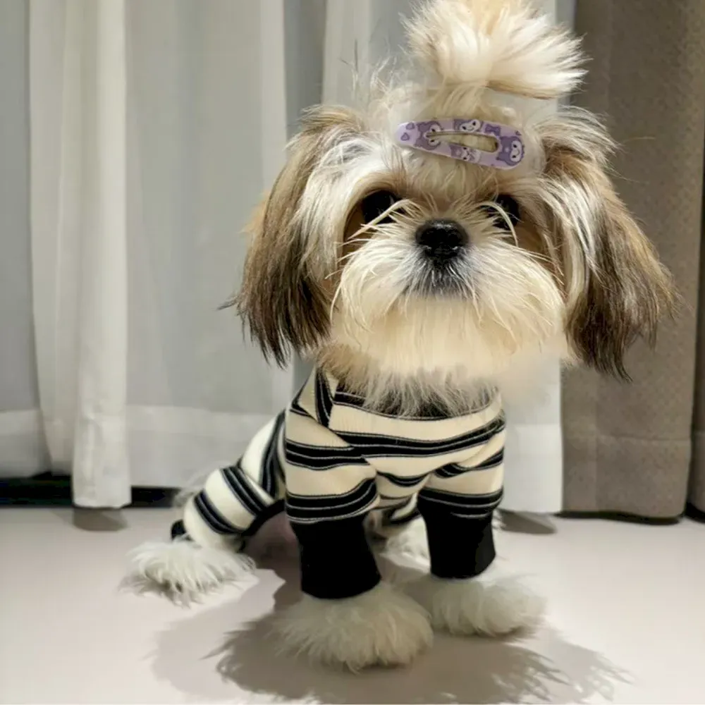 Warm Pet Winter Outfit Warm Pet Winter Outfit